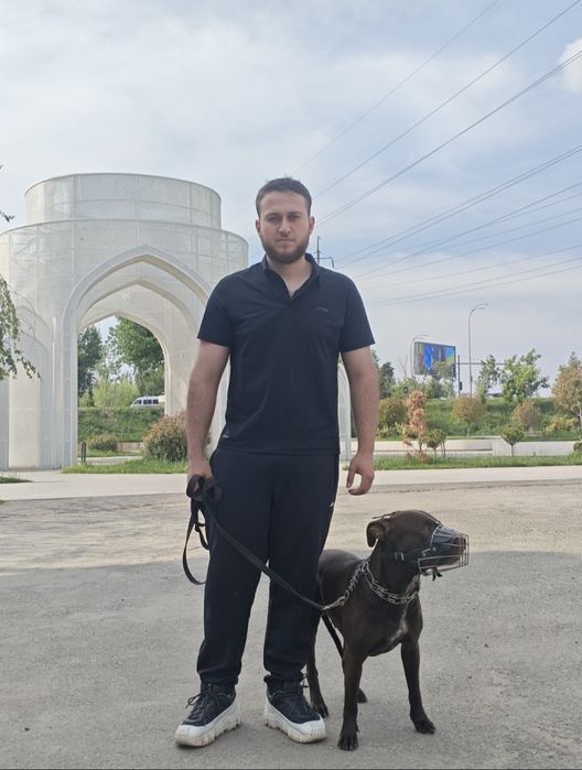 Инструктор дрессировщик