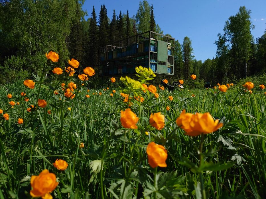 Мёд натуральный от пчеловода