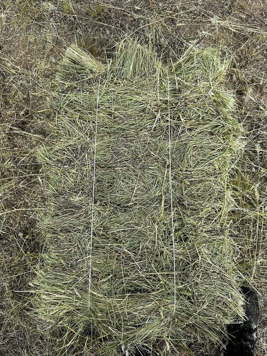 Продам сено тюковое тюки