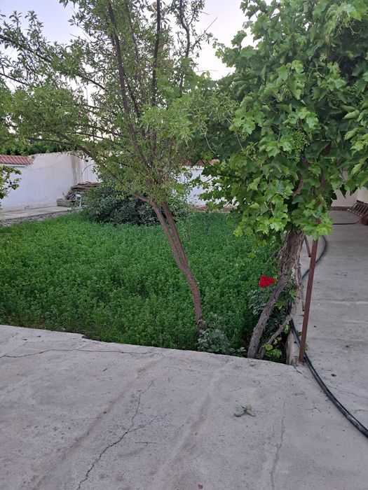 Кармана тумани варк 1да 4 хона 6 сутих кушимча ер бор