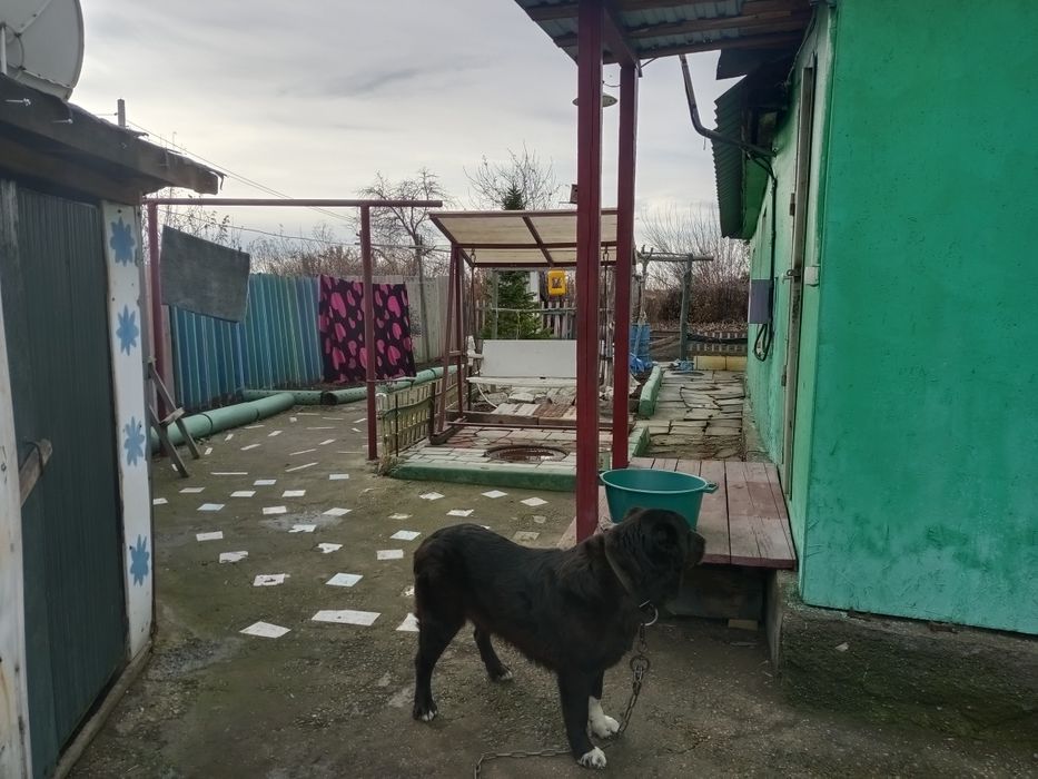 Продам дом теплый