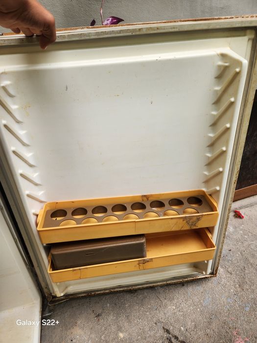 Holodelnik zudlik bilan sotiladi