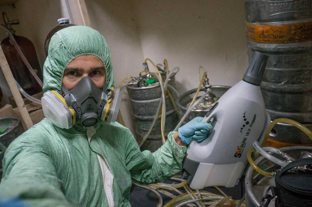 Дезинфекция Dezinfeksiya Дезинсекция Дератизация крыс мышей блох