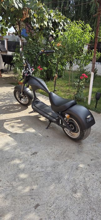 Scuter Electric Chopper Mangosteam