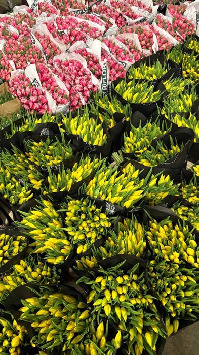 Цветы , букетв роз,пионы тюльпаны