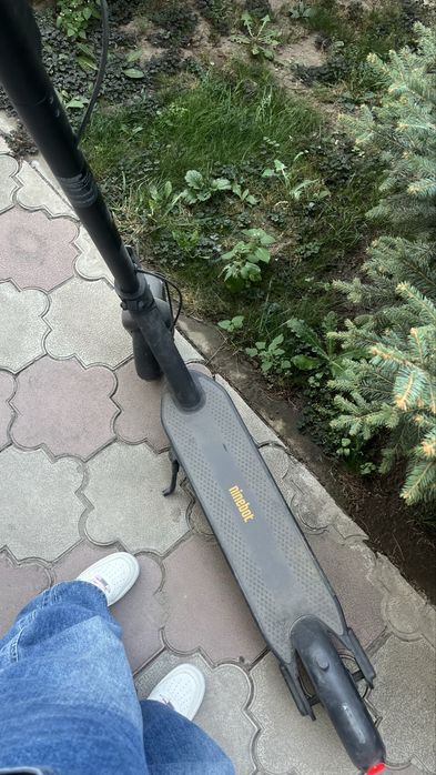 Ninebot kickScooter MAX G30