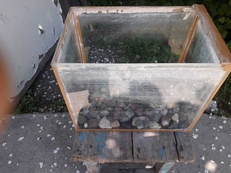 Аквариум 10литровч