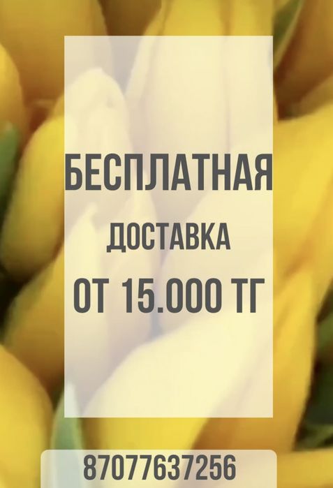 Тюльпаны в розницу