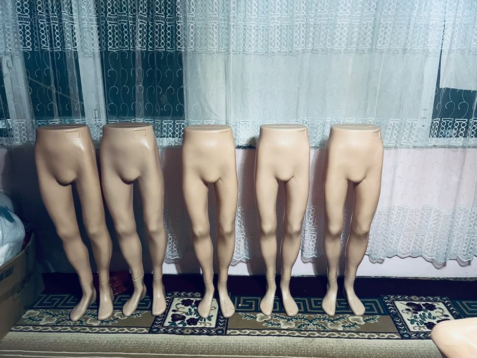 Маникен мурской