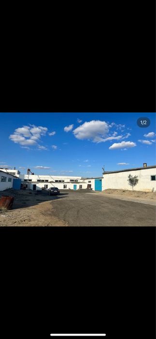 Продам Отруби , Сечку , Муку