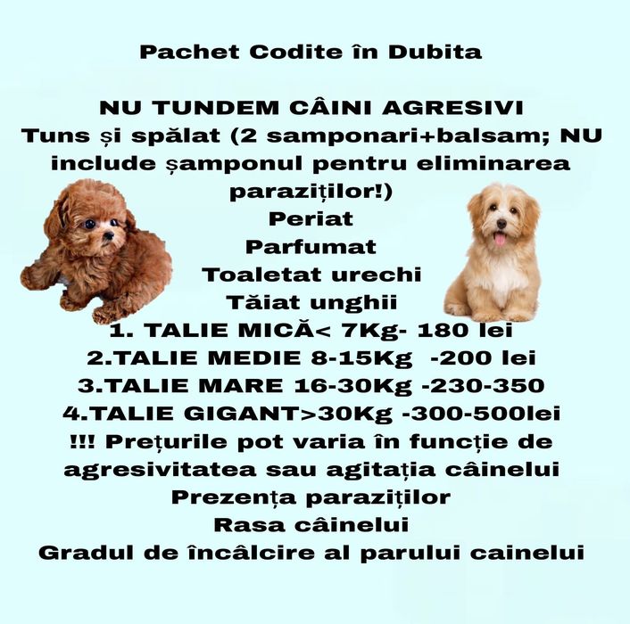 Frizerie canina mobila în fața casei tale
