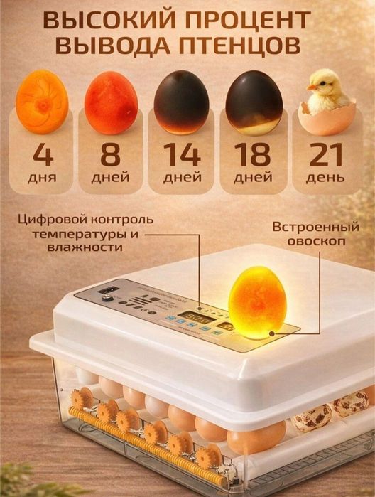 Инкубатор  Автомат  Заводской