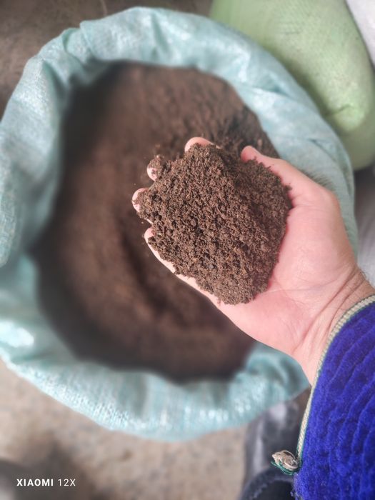 BIOGUMUS sotiladi 50 tonna bor