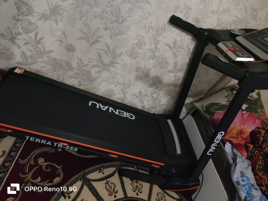 Беговая дорожка генау