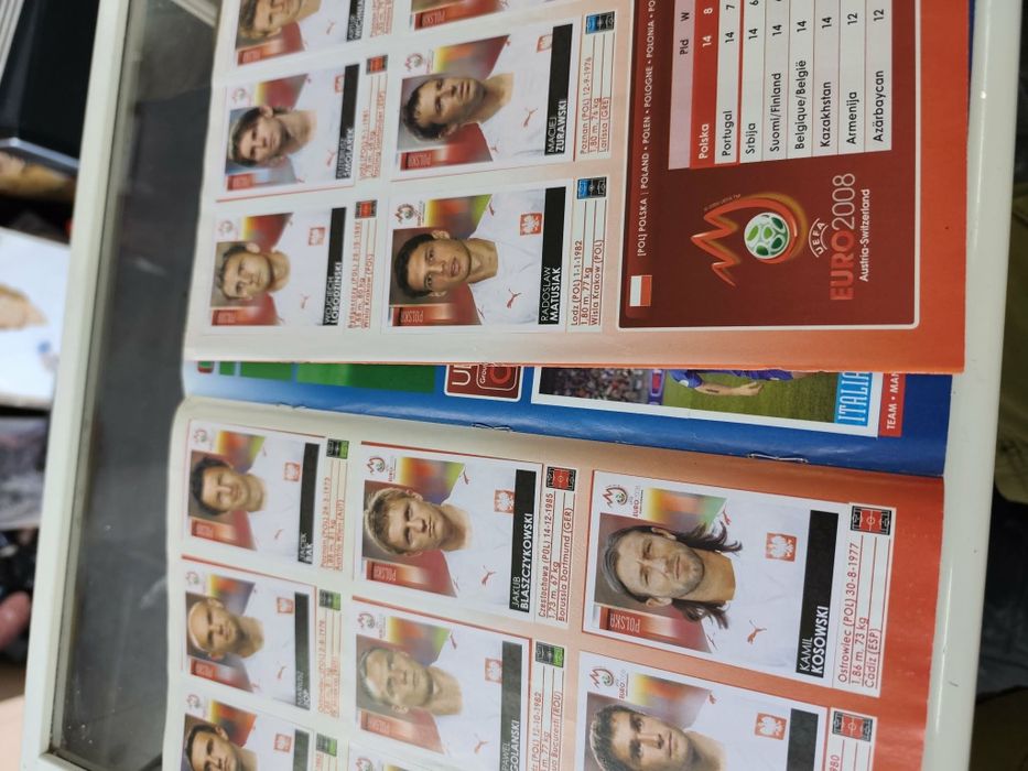 Албум panini euro 2008 г