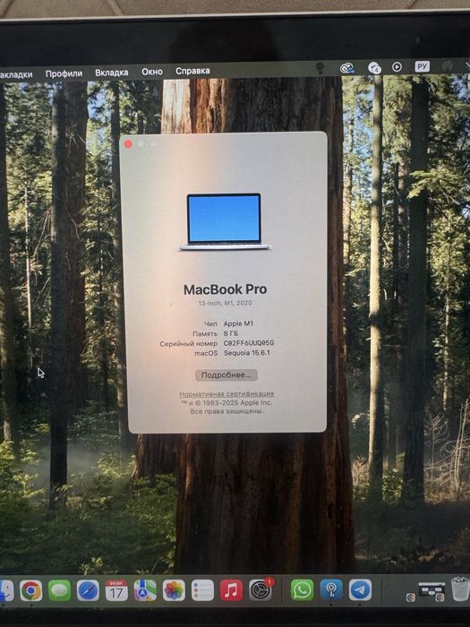 MacBook Pro 13” (2020) M1 / 8GB / 256GB