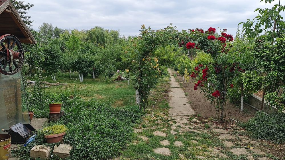 Teren 9 Mai cu ponton si debarcader