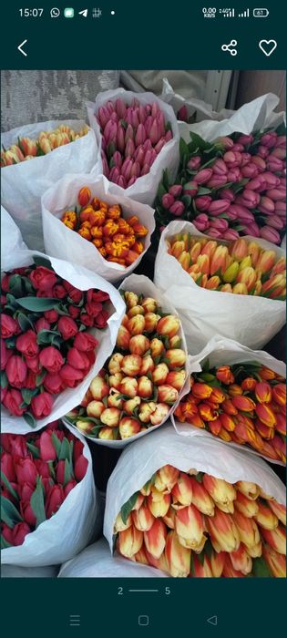 Тюльпаны на заказ к 8 марта премиум