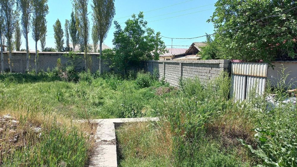Yangi Toshkent yaqinida yer uchastkasi sotiladi