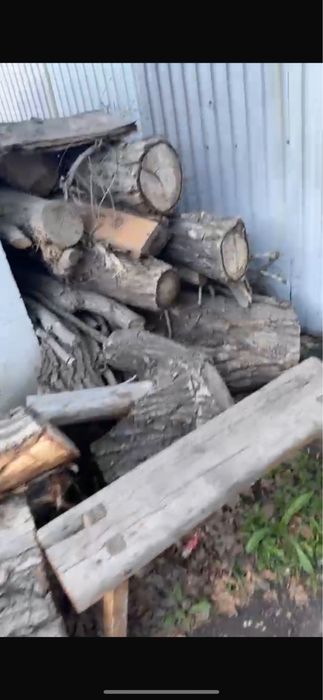 Дрова отдам даром !!!