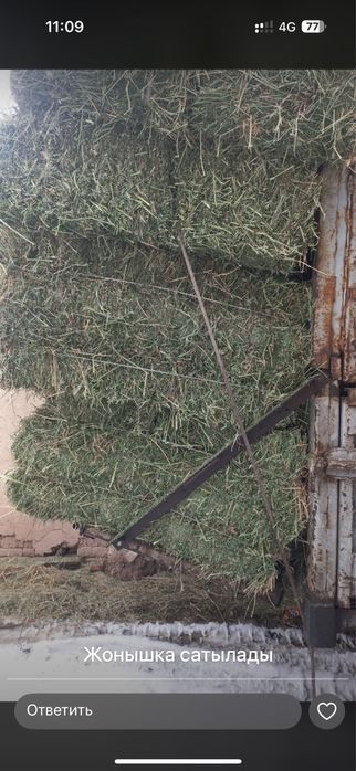 Клевер с доставкой!