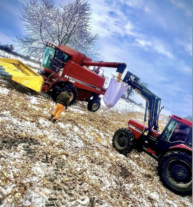 Vand Porumb Boabe 2025