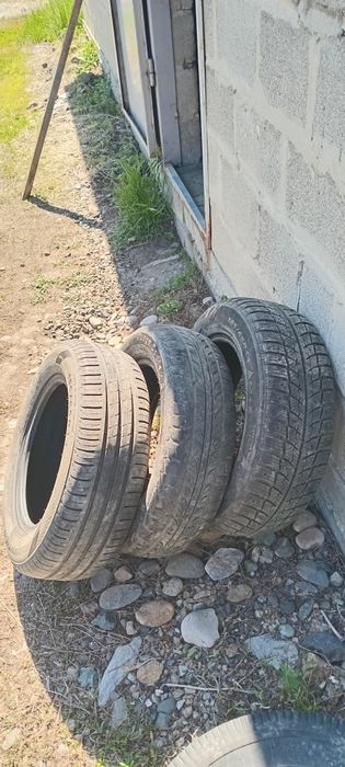 Автомобильные шины