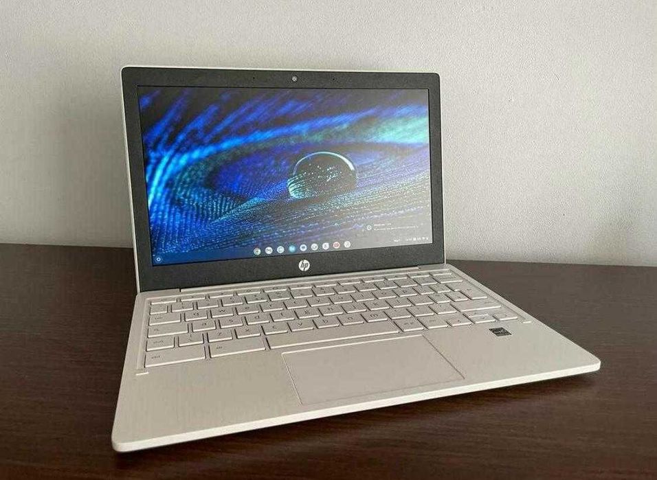HP Chromebook 11a-na0502sa; Ca Nou