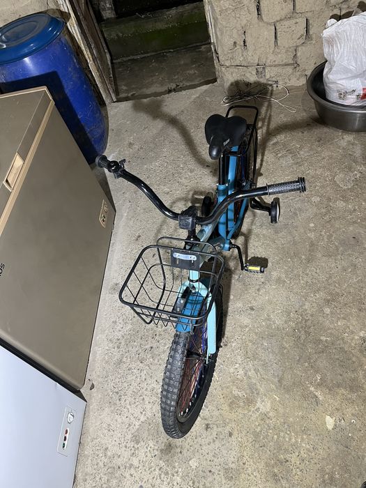 Велик барс новый