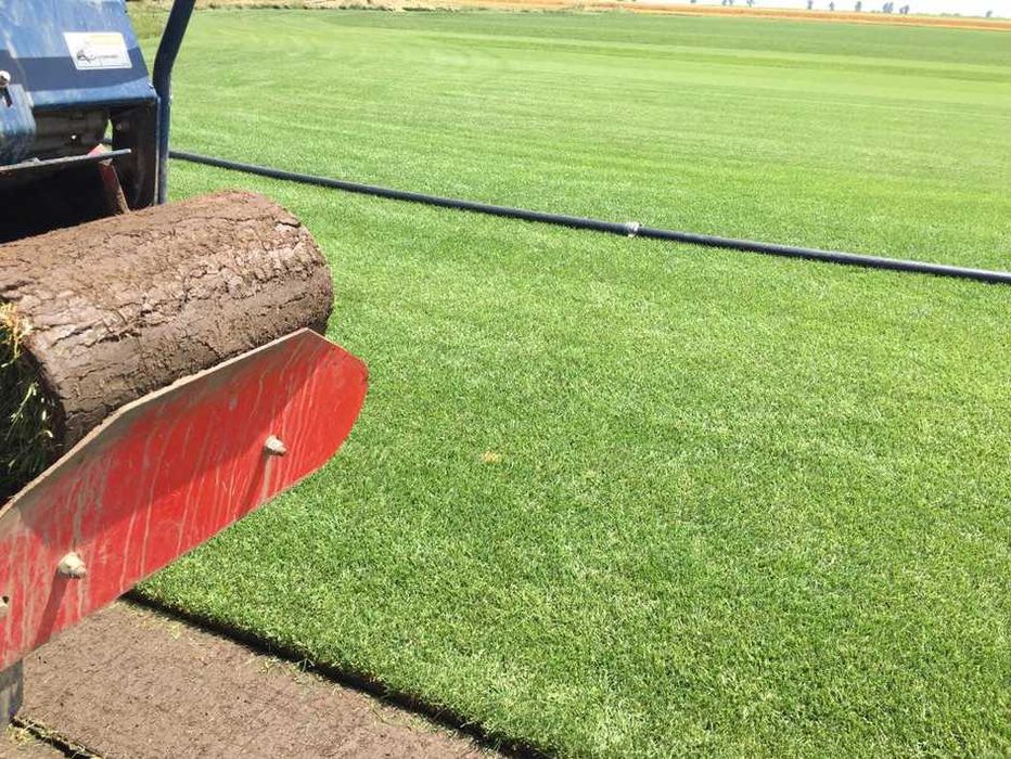 Gazon Rulou Proaspăt – Livrare în Toată Țara și Montaj