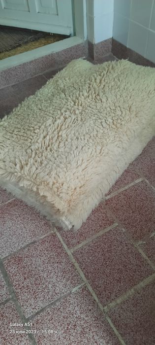 Китеници бели нови