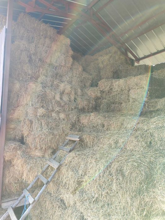 Baloti de fan la 22 de kilograme