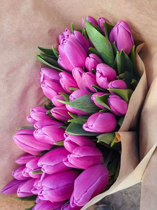 Тюльпаны только оптом