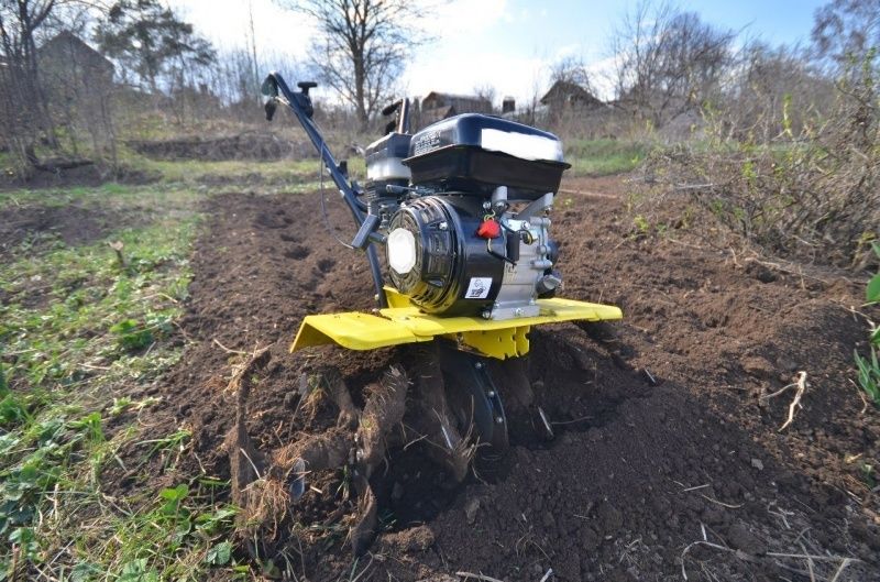 Услуги для вашего участка