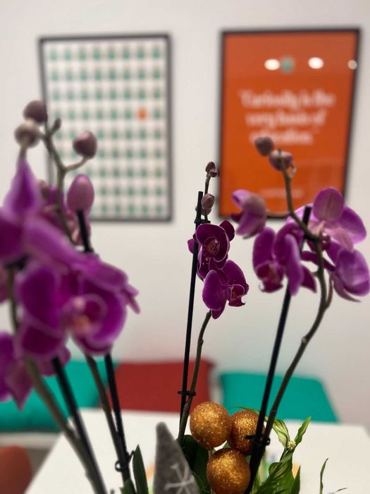 Дава се под наем Офис в София, Оборище - 85 кв.м за 847.62 € - Снимка #6