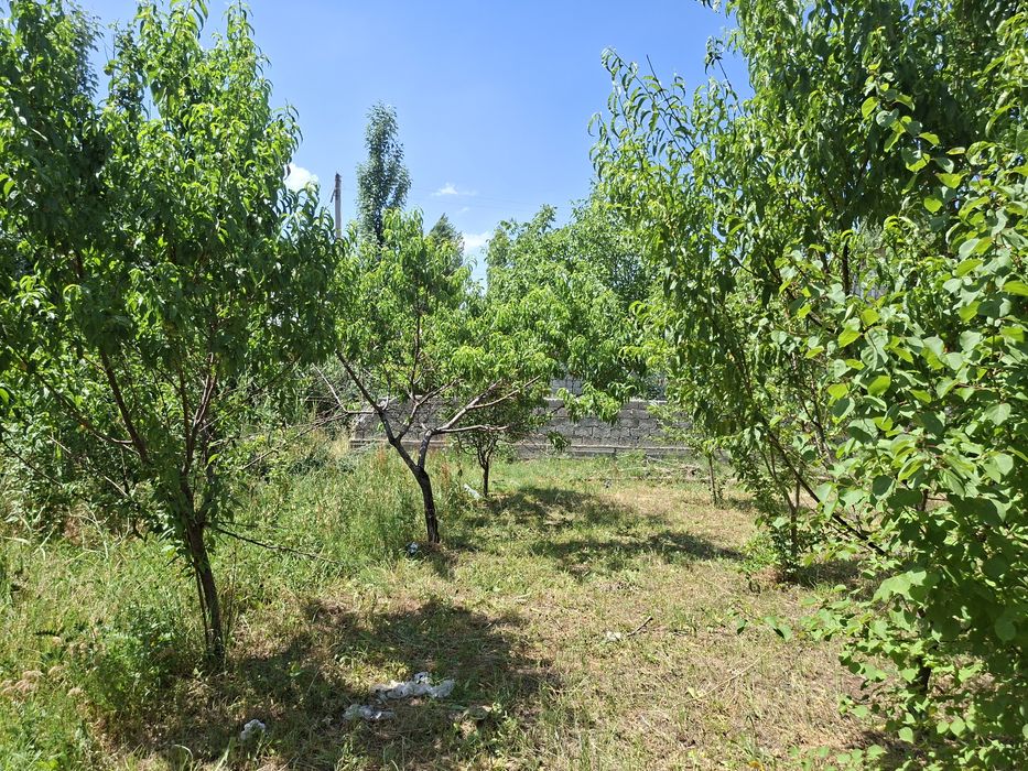 Хавли сотилади 6 сотиқ