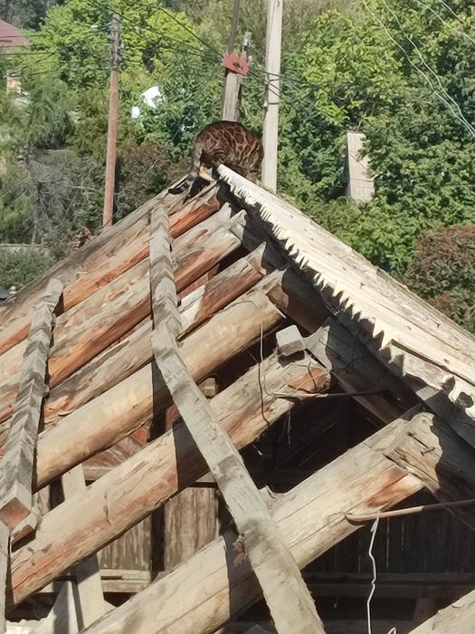 Кровельные работы