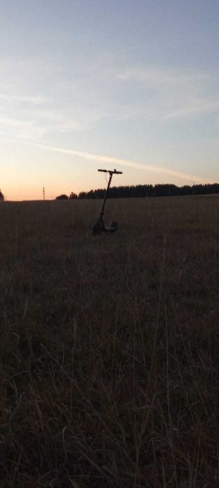 Ninebot f40 2024