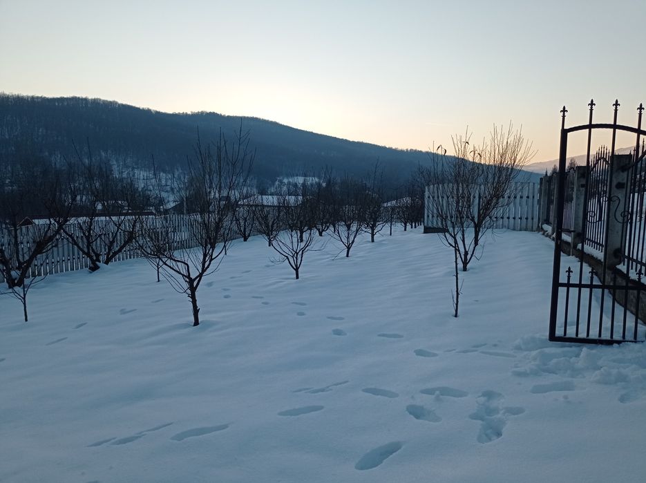 Teren in com Metes sat Ampoita