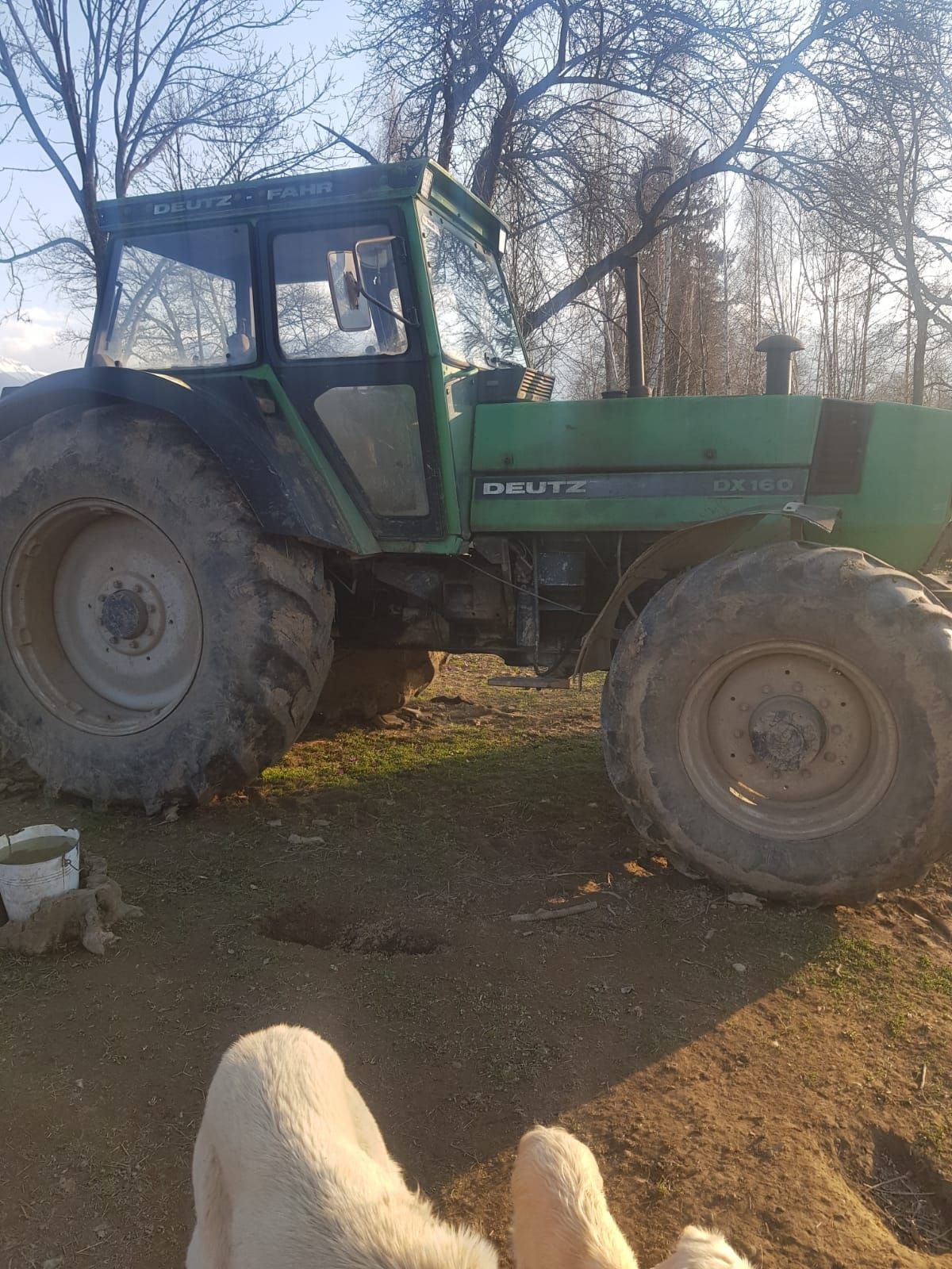 Tractor De Vânzare Sau Schimb Cu Animale Oi Sau Vaci Sau Bivoli Breaza ...