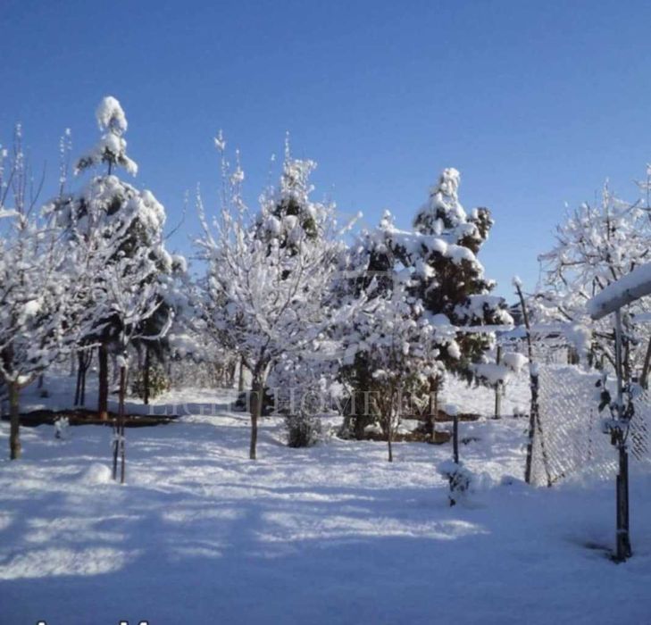 Реф. 3526 Къща с два декара двор с. Правище