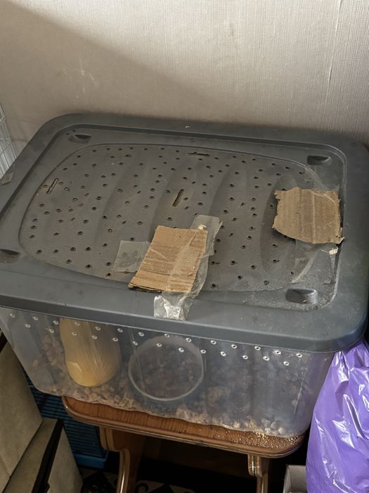 Песчанка + контейнер