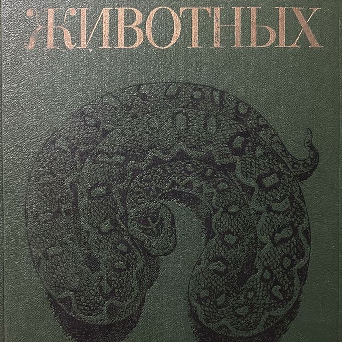 Комплект книг - Жизнь животных