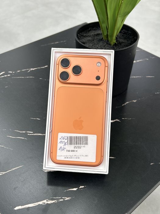 IPhone 17 Pro Max , 256GB , 100%