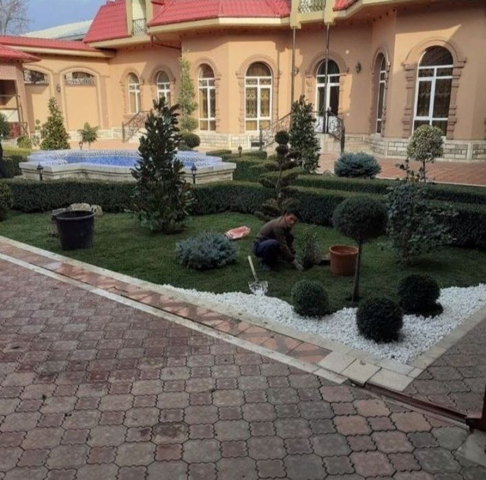 Gazon  ekish  hizmatlari Avtopaliv Polivnoy sistema  Lanshaftniy dizay