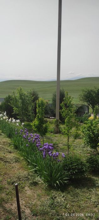 Срочно продам дом - дача