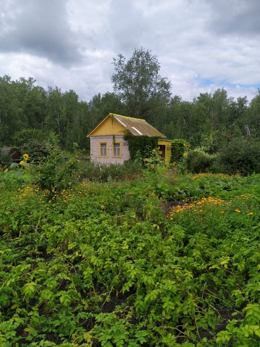 Дача в новопавловке