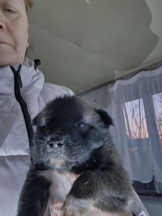 Малышам срочно нужен дом