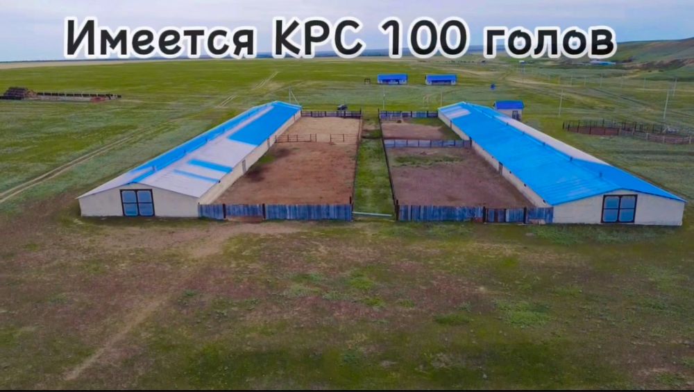 Продам Крестянское Хозяйство