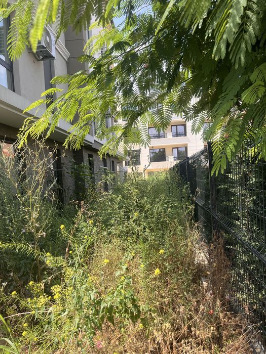 Косене на трева, оформяне на храсти и премахване на дървета